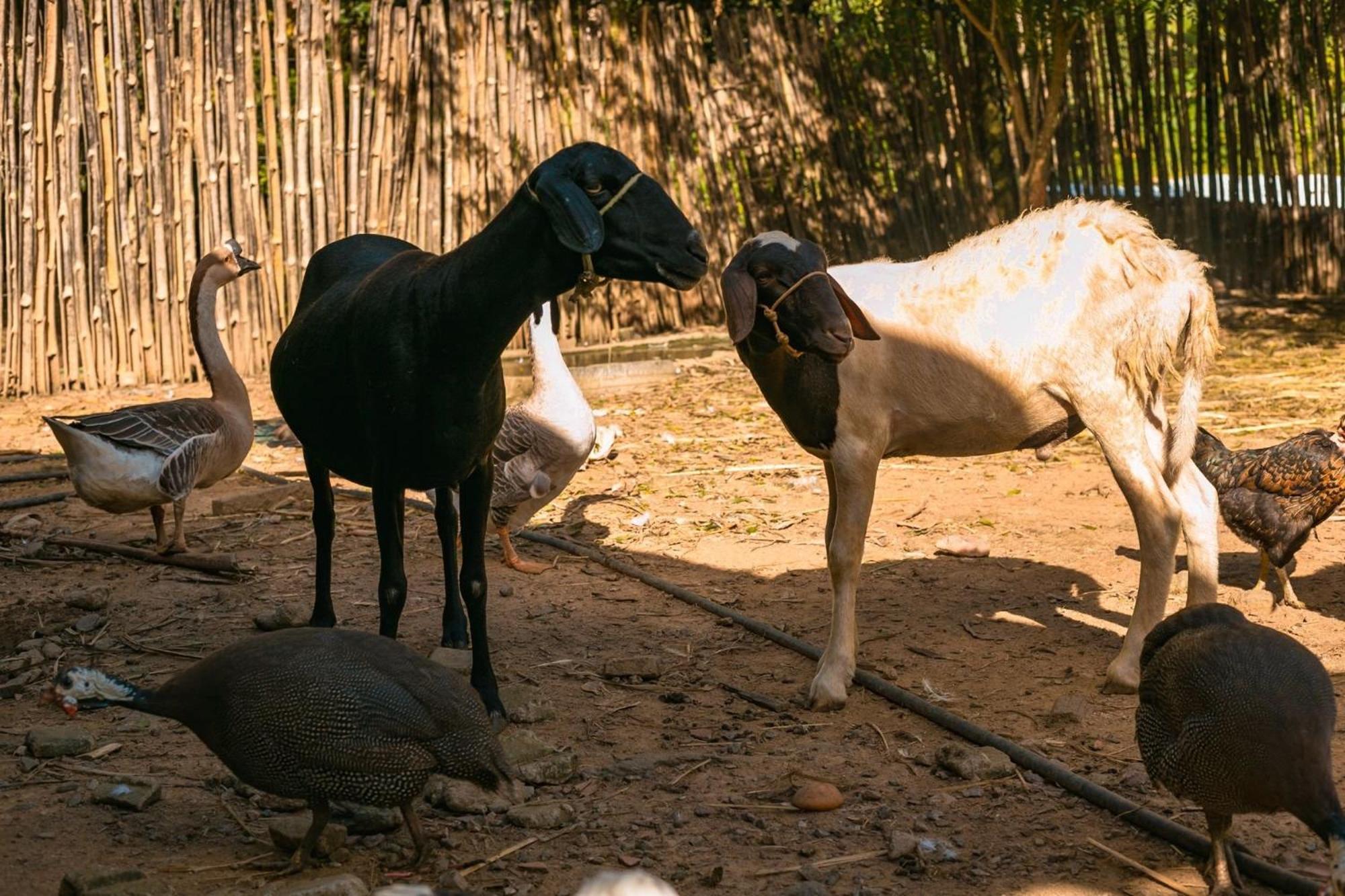 Saira Recanto De Serra มูลุงกุ ภายนอก รูปภาพ